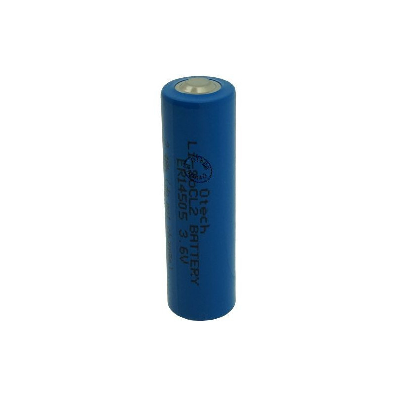 Boite de 12 piles D LR20 Energizer ADVANCED 1,5V Alcaline