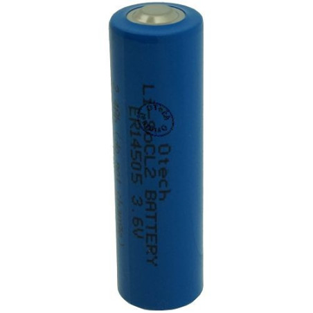 Boite de 12 piles D LR20 Energizer ADVANCED 1,5V Alcaline