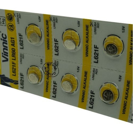 Boite de 12 piles 6LR61 9V Evolta Panasonic